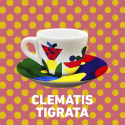 Coffee cups Lollo Caffè x Camilla Falsini - Clematis Tigrata - Set of 2 Cups + Saucers for Espresso LCMFLSCLTR2PZ