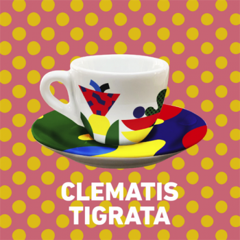 Tasses Lollo Caffè x Camilla Falsini - Clematis Tigrata - Set de 2 Tasses + Sous-tasses pour Espresso LCMFLSCLTR2PZ