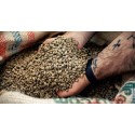 Coffee beans Premium Quality Italian Coffee beans – Columbia - 500gr - Mokarico Firenze MOKACOL500GR