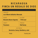 Speciality Coffee Gearbox Coffee Roasters - Speciality Coffee/Café de spécialité - Nicaragua Finca un Regalo de Dios - Café e...