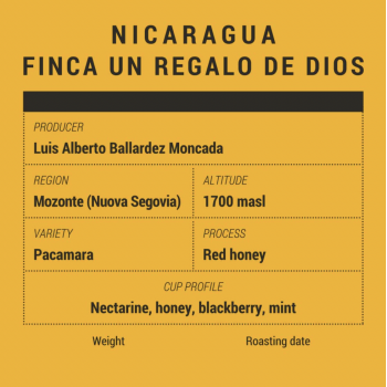 Speciality Coffee Gearbox Coffee Roasters - Speciality Coffee - Nicaragua Regalo de Dios - Coffee beans GBNICRGD250GR