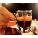 Home Coffee Beans - Kimbo Caffè Prestige 6KG - Professional Line KMBPRST6KG