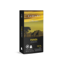 Accueil 200 Capsules compatibles Nespresso® Mono Origine Rwanda - Caffè Carraro 1927 CARRWANES200
