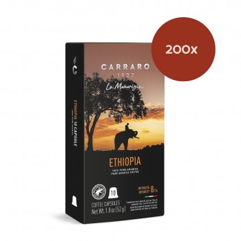 Accueil Capsules compatibles Nespresso® Mono Origine Éthiopie 200x - Caffè Carraro 1927 CARETHNES200