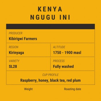 Speciality Coffee Gearbox Coffee Roasters - Speciality Coffee - Café en grains - Kenya Kirinyaga SL28 - 250gr GBXKENYANGUGU250