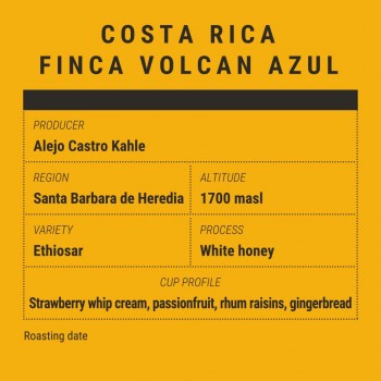 Speciality Coffee Gearbox Specialty Coffee Beans - Costa Rica Finca Volcan Azul Ethiosar - 250g GBXCRFINCAETHIOSAR250