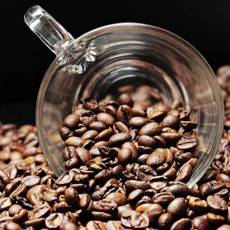 Café en grains