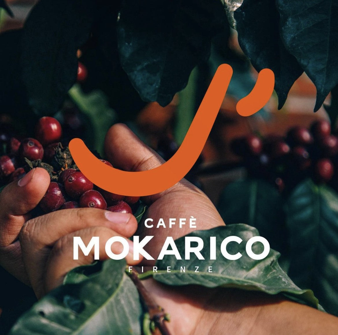 Café en grains Café Italien en grains - Qualité Premium - Columbia - 500gr - Mokarico Firenze MOKACOL500GR