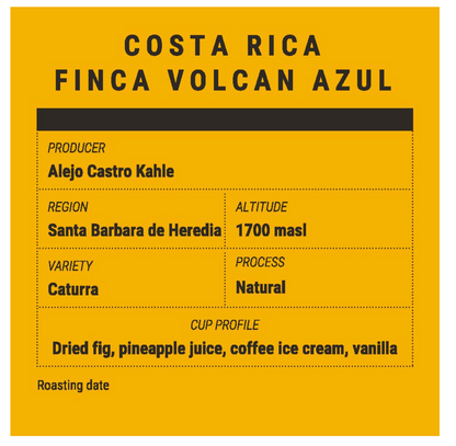 Café de Spécialité - Costa Rica – Finca Volcán Azul (Caturra, Natural) – Omniroast – Gearbox Coffee Roasters