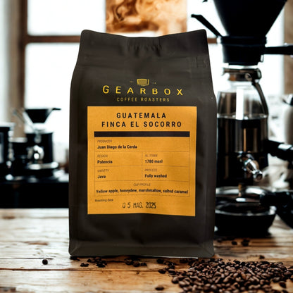 Speciality Coffee - Gearbox Coffee Roasters - Guatemala Finca El Socorro - Gewassen Java - Gebrand in Italië