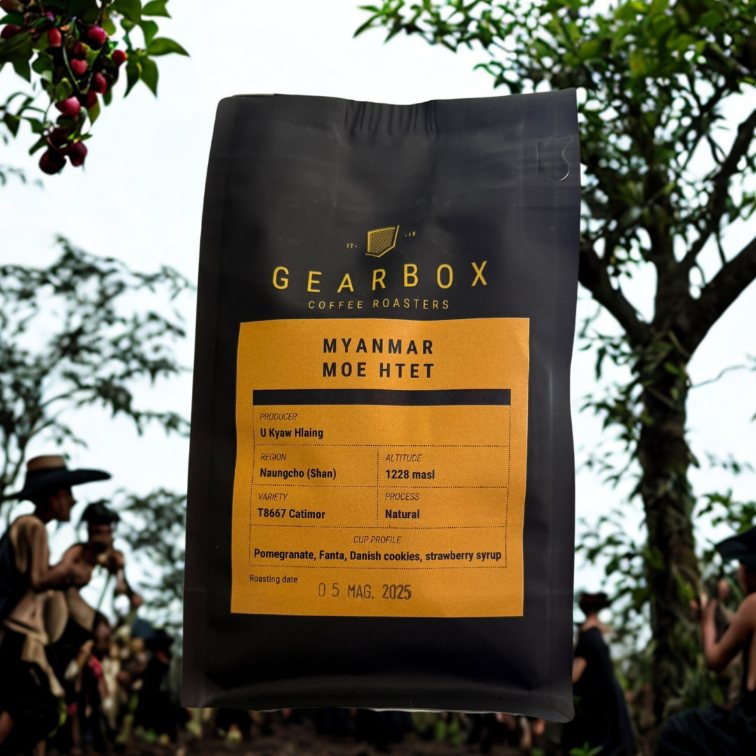 Gearbox Coffee Roasters - Myanmar Moe Htet T86 - Specialty Coffee Roasted in Italy
