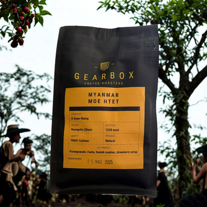 Gearbox Coffee Roasters - Myanmar Moe Htet T86 - Specialty Coffee Roasted in Italy