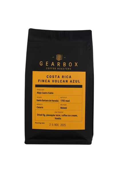 Café de Spécialité - Costa Rica – Finca Volcán Azul (Caturra, Natural) – Omniroast – Gearbox Coffee Roasters