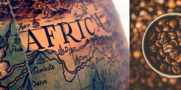 Merci Afrique : C'est elle qui nous a offert la meilleure boisson du monde